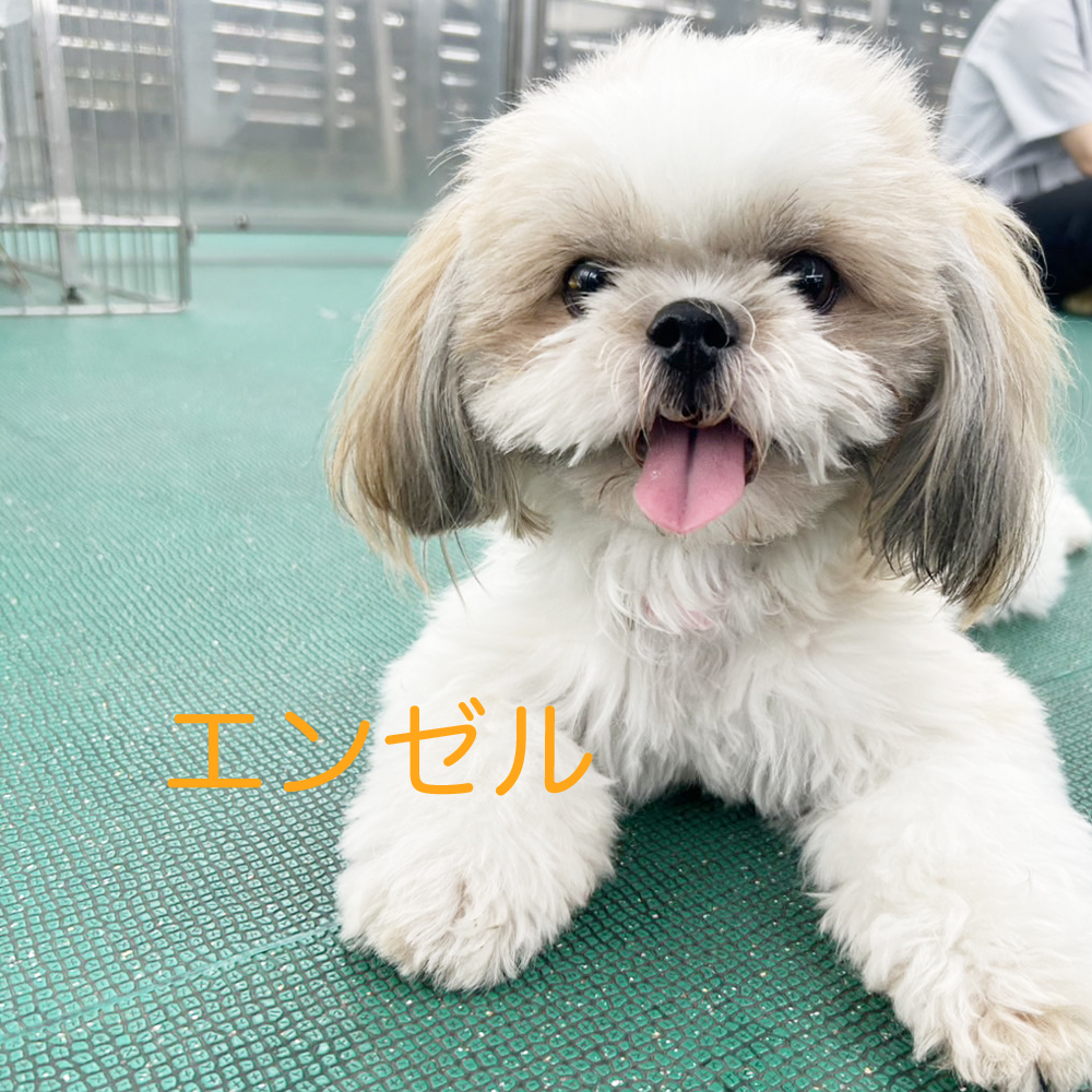 生徒が撮影してくれた写真②